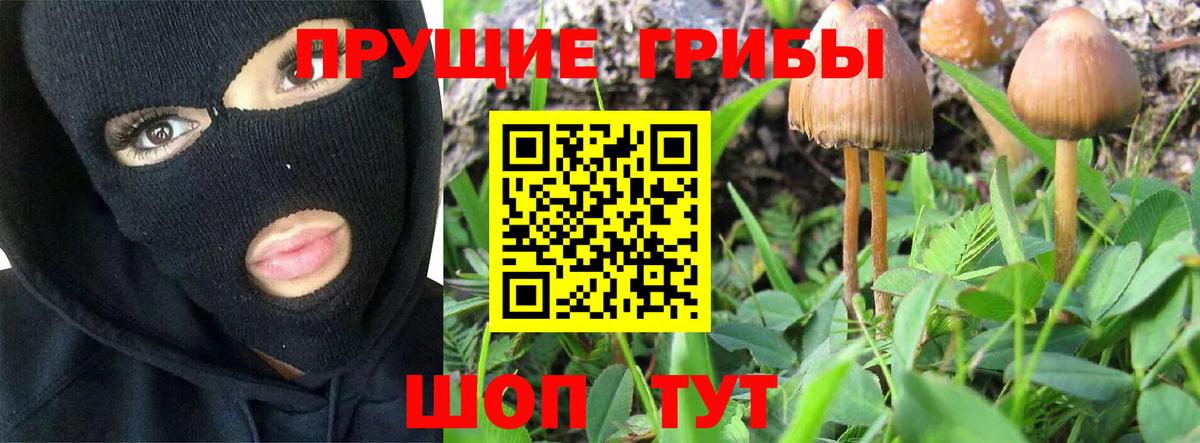 Галлюциногенные грибы Cubensis Донской